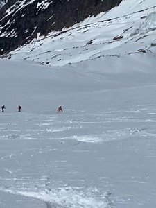 Chamonix Ski Guide on Reels