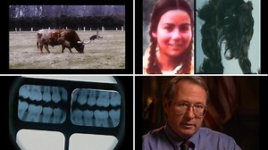 Forensic Files | Season 9 Episode 04 | No Corpus Delicti | A woman disappears without a trace. Even though foul play is suspected, the leads don't pan out and the trail turns cold. Twenty years would pass before police are able to link a clump of hair discovered in an isolated area with the missing woman. #forensics #forensicinvestigation #peterthomas #CrimeInvestigation #ForensicScience #truecrime | Forensic Files Episodes