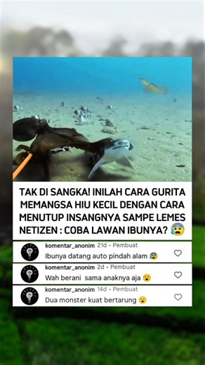 15 Juni 2026
