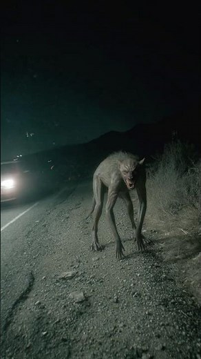 Chupacabra Caught on Security Camera Near Remote Reservation