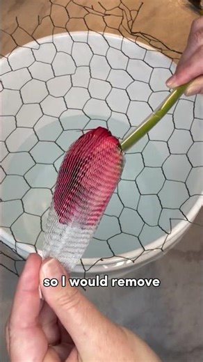 Gerbera Daisy processing made easy 🌼💧