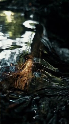 The Quiet Green — Scenic Nature & Peaceful Escapes #nature #foryou #earth #calm