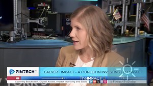 Democratizing Impact Investing & Building a Sustainable Future: Beth Bafford (Calvert Impact) with Fintech TV - ESG News