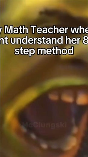 The math teacher when I don’t understand her 800 step math problem