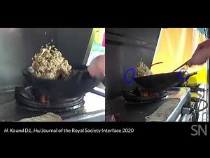 Watch a chef toss fried rice (with physics) | Science