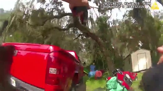 An unstoppable cop clings to the hood of a suspect’s car during a wild high-speed chase in Iowa. A Detroit man leads Michigan police on a chase before crashing and stealing the pursuing officer’s cruiser. Also, a Florida man drives through yards, busts through fences, and takes a pursuit through the woods before crashing and failing to outrun officers. Watch the reckless chases unfold on this edition of “The Lineup.” | Law&Crime