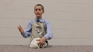Rabbit Showmanship – With Caleb Bell
