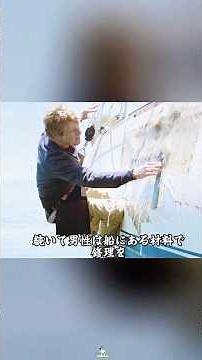 😱コンテナの中から助けを求める声が！#映画解説 #movie #ドラマ#shorts #motivation #foryou