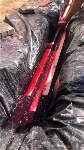 How to Effectively Treat Boards for Pest Infestation #construction #constructionchannel #workers