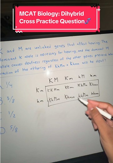 Understanding Dihybrid Cross and Deafness Genetics