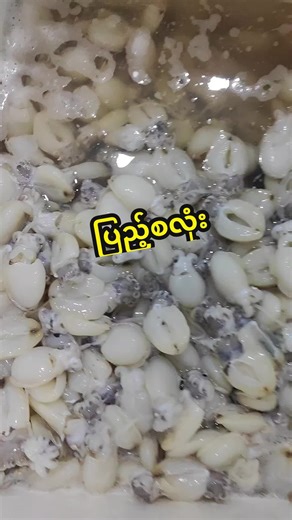 Blue Wave seafood & commodity distribution #တောင်ကြီး #seafood #ပင်လယ်စာအစုံ #စားမယ်ဝါးမယ် #ရှမ်းပြည်တောင်ပိုင်း