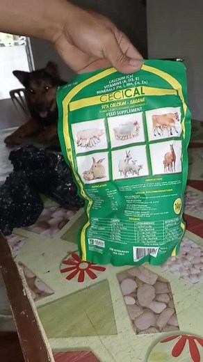Sa halagang 300pesos plus lang😱 meron kanang 1kilo CICICAL POWDER❗️food supplements sa mga inahin. Mas pinatipid mas pina mura🤗 order na mga ka backyard hog raiser | Mack'z TiPs