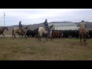 Red Oak Cattle Roundup