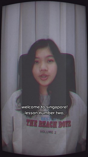 Welcome to Singapore 2: School Life and Stress Management