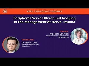 Peripheral Nerve Ultrasound Imaging in the Management of Nerve Trauma