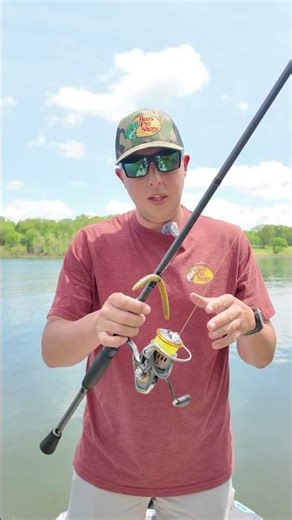 This week's Technique of the Week: Wacky Rig!