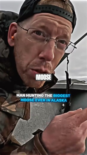 Man Hunting the Biggest Moose Ever in Alaska