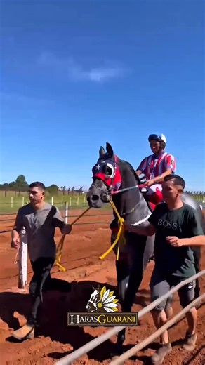 HARAS GUARANI on Instagram: "ELA VEM AÍ… E VEM COM VONTADE! 🐎 IWANNAMAKEUFANTASTIK está pronta para a estreia em Ponta Porã, no final de janeiro, e a torcida já é grande pela nossa tordilha, de propriedade do Stud AC, parceiros que acreditam e confiam na nossa criação, gratidão sempre! 🤝 Filha de FANTASTIC CORONA JR na super produtora IWANNAMAKEITWITHYOU (MAKE IT ANYWHERE), uma matriz que dispensa comentários. Pra quem gosta de prova: IWANNAMAKEITWITHYOU é avó do COMANDO SPEED MV, campeão nest