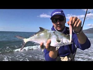 Italian Fishing TV - Shimano - Spinning in Shore Calabria
