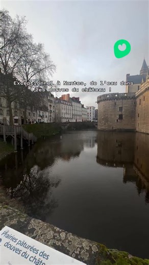 Les douves du château des Ducs de Bretagne sont inondées ! 😱 Après une période de 37 jours de pluie sans interruption qui a causé une crue exceptionnelle de la Loire à 8,17 mètres, les douves du château sont remplies d’eau ! D’ailleurs, au Moyen-Âge, la Loire et l’Erdre passaient devant le château pour le protéger. C’est donc par un réseau de trappes souterraines, situé sous le canal de l’Erdre qui traverse les cours Saint-Pierre et Saint-André, que l’eau est finalement redirigée vers les douve