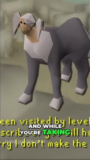 The “Egg Smuggle” Exploit Explained