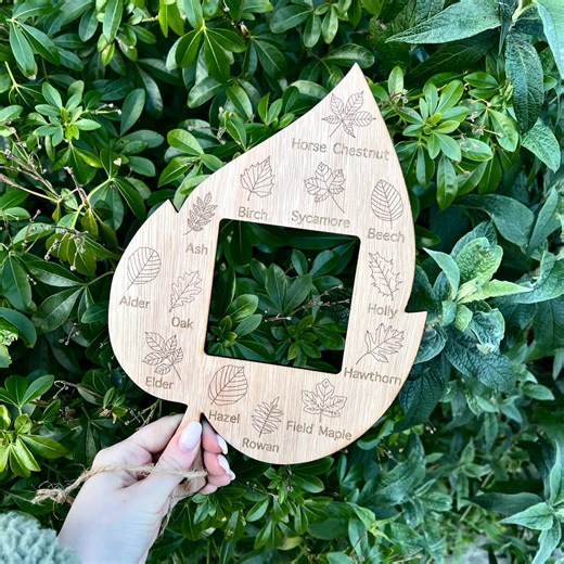 Forest School Leaf Identifier With Frame Viewer | Outdoor Learning | Forest School Resources | Early Years Resources | Montessori Resources - Etsy UK