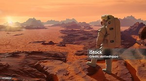 The Martian: Book/Movie Review