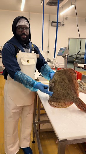 Recette turbot français en filet x4