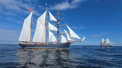 74K views · 1.5K reactions | Aberdeen Harbour Tours on Reels | Facebook