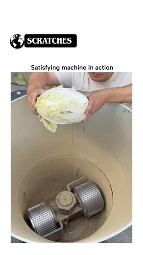 Neural Scratches | AI ASMR on Instagram: "The post showcases a 35-second video of a compact Chinese-made feed pellet machine (labeled "饲料" for feed) grinding cabbage and corn into mush, then extruding uniform pellets for animal feed, emphasizing the rhythmic, ASMR-like motion. Posted by , a casual video sharer, it credits TikTok's @machines .in.action and quickly amassed 169,000 views, with Indonesian replies speculating on its use—from "tool for pellets" to "livestock feed maker"—reflecting reg