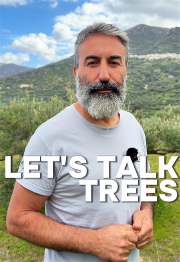 Many of you asked in the comments about my olive trees, the fields, and the varieties we grow here in the village. So today I answer some of your questions. #oliveoil #greek #farming #foodtok #organic