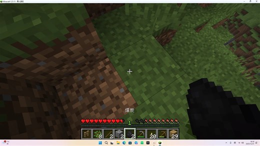 我的世界Java 1.21.11 原版生存1