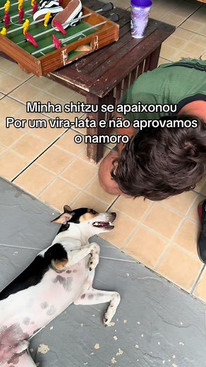 A Melzinha e o Vira-Lata: Um Amor Não Aprovado