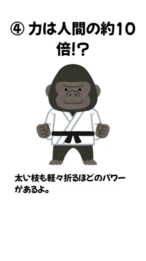 ゴリラの生態5選 #ゴリラ #Shorts