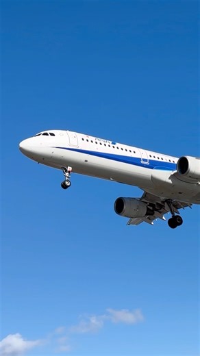 【仙台】冬の空との相性が良いANA A321-200✈️#仙台空港 #ana #a321 #aviation #着陸 #fishair