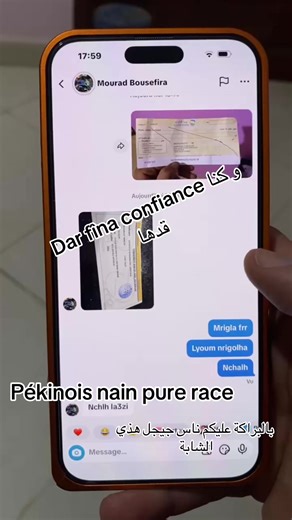 Vidéos de Mk.cat.dog.2 (@mk.cat.dog.2) avec original sound - darijalik02