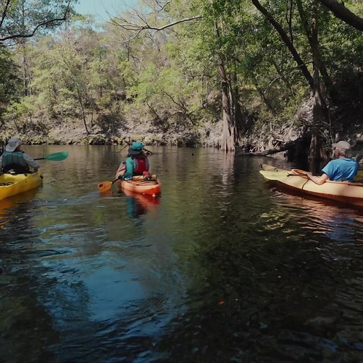 Discover the untamed beauty of Wakulla County through an unforgettable paddling adventure! 🚣‍♀️ Immerse yourself in the serenity of the pristine waters. Whether you're a beginner or seasoned paddler, Wakulla County offers an unbeatable experience for all. | Visit Wakulla