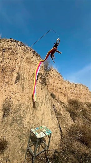 Rainbow Flying Dog#High-powered horse dog