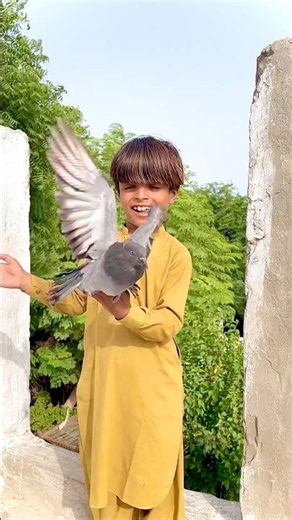 Pigeon Magic Growth 🥚➡️🕊️ Egg to Pigeon Transformation #shorts