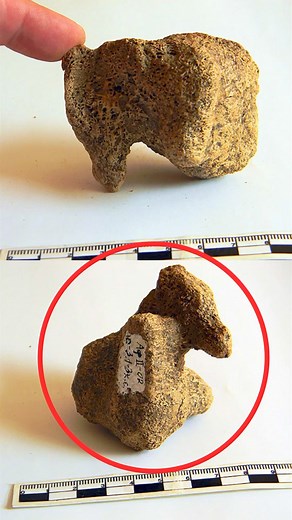 120K views · 3.3K reactions | The Ancient Community that Turned Ivory into a Flexible Material #AncientMystery #archeology #lostarts #mammoth | Unsolved Mysteries & Paranormal Activities | Facebook