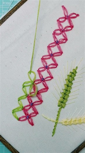 Professional Double Color Border Embroidery Tutorial! #shorts