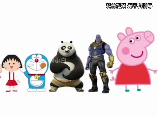 这些动物身高原来是这样？