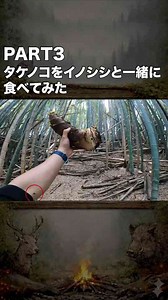 PART3 自分の竹林のタケノコをイノシシと一緒に食べてみた!