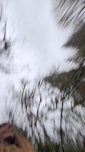 13K views · 3.5K reactions | Air pollution harms our health and our environment, often before we can even see it. Bioindicator species, such as lichens, act as early warning systems because they react when air quality is impacted. If you want to help reduce pollutants, learn more about pollution in your community and advocate for a cleaner and healthier planet! #FutureEarthPartner #nature #pollution | The Nature Educator | Facebook