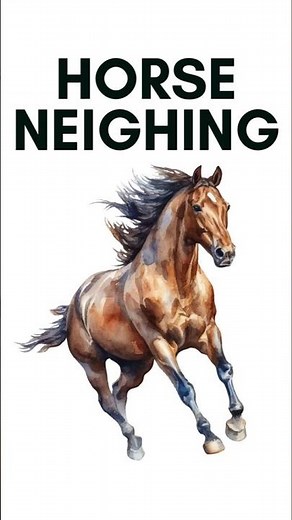 Horse Neighing Sound Effects