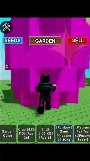 Checking Value Of Fruits Day 1