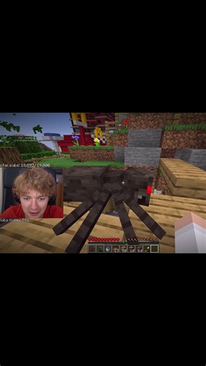 Tommy Playing with Minecraft Animals | Dream SMP