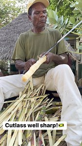 191K views · 1.2K reactions | Jamaica Uncut on Reels | Facebook