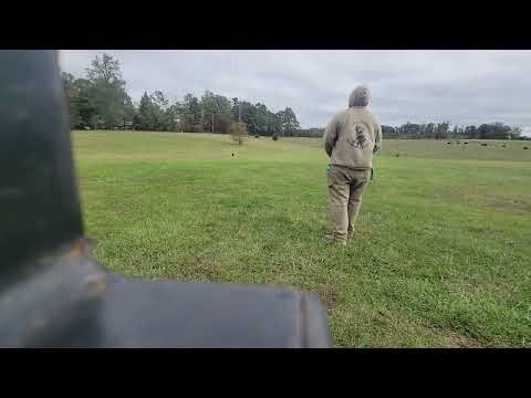 Bea (HRCH RAMBO MH X MACY SH PUP) Learning angled backs, hand thrown triple for fun