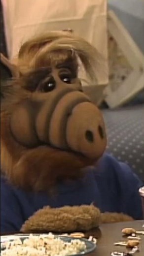 Obviously we all knew ALF was the first "Looksmaxxing" influencer 🤩